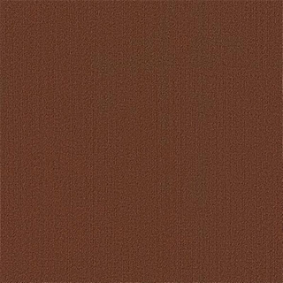 Picture of Philadelphia Commercial by Shaw - Color Accents 24 x 24 Chocolate