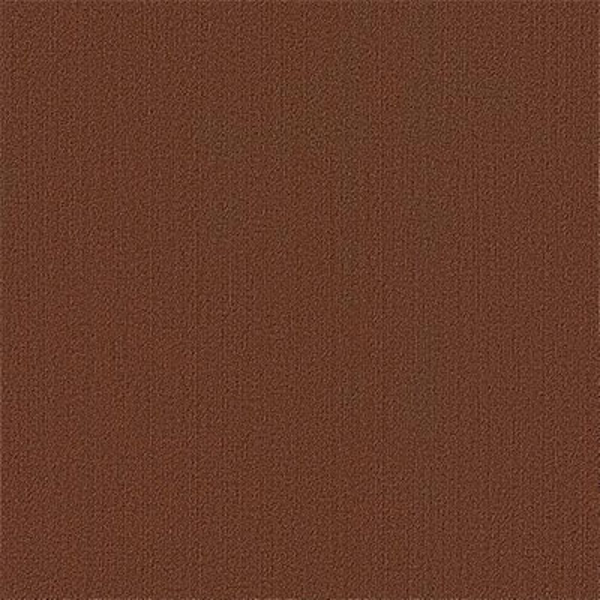Picture of Philadelphia Commercial by Shaw - Color Accents 24 x 24 Chocolate