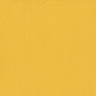 Picture of Philadelphia Commercial by Shaw - Color Accents 24 x 24 Citrus
