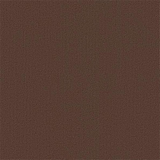 Picture of Philadelphia Commercial by Shaw - Color Accents 24 x 24 Coffee