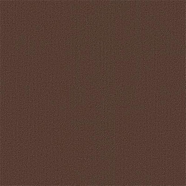 Picture of Philadelphia Commercial by Shaw - Color Accents 24 x 24 Coffee