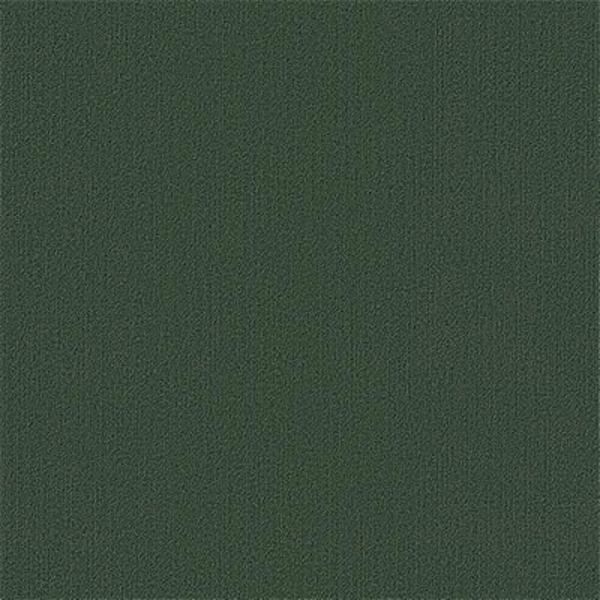 Picture of Philadelphia Commercial by Shaw - Color Accents 24 x 24 Cyprus