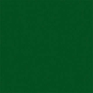 Picture of Philadelphia Commercial by Shaw - Color Accents 24 x 24 Dark Green