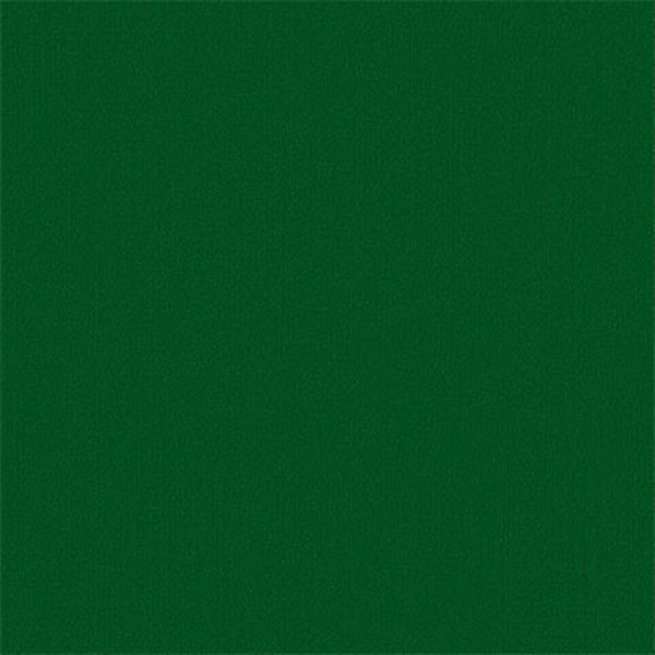 Picture of Philadelphia Commercial by Shaw - Color Accents 24 x 24 Dark Green