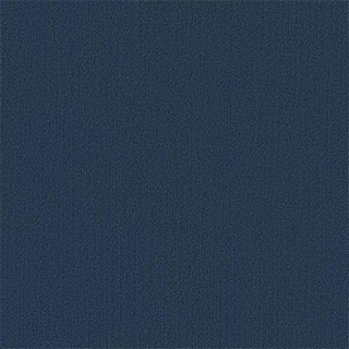 Picture of Philadelphia Commercial by Shaw - Color Accents 24 x 24 Deep Navy