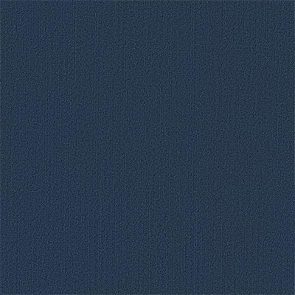 Picture of Philadelphia Commercial by Shaw - Color Accents 24 x 24 Deep Navy