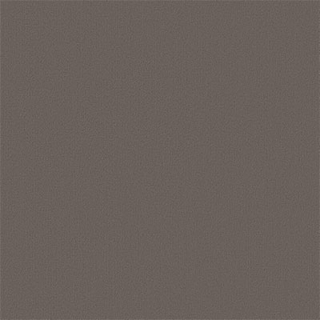 Picture of Philadelphia Commercial by Shaw - Color Accents 24 x 24 Dolphin