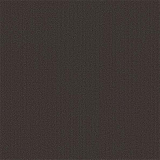 Picture of Philadelphia Commercial by Shaw - Color Accents 24 x 24 Ebony