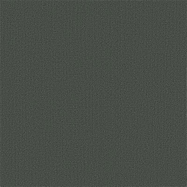 Picture of Philadelphia Commercial by Shaw - Color Accents 24 x 24 Eucalyptus
