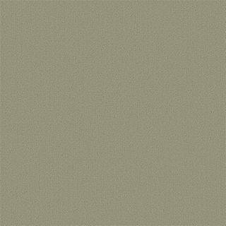 Picture of Philadelphia Commercial by Shaw - Color Accents 24 x 24 Fescue