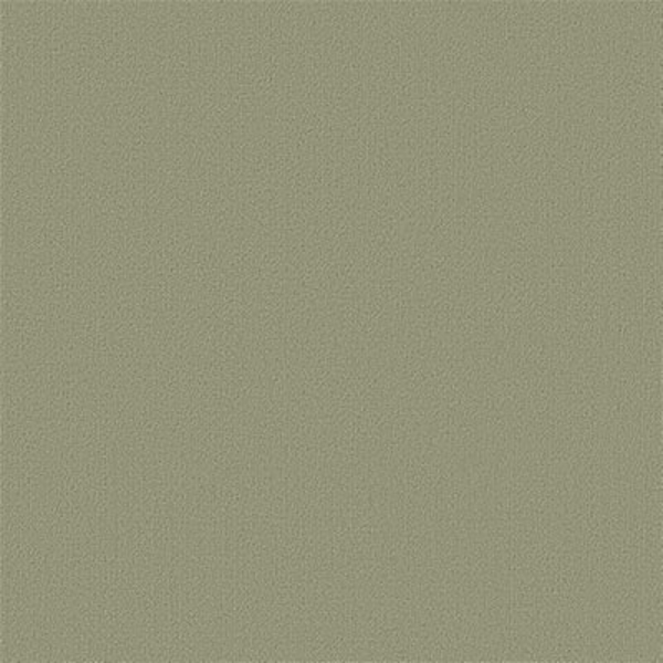 Picture of Philadelphia Commercial by Shaw - Color Accents 24 x 24 Fescue