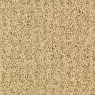 Picture of Philadelphia Commercial by Shaw - Color Accents 24 x 24 Flax