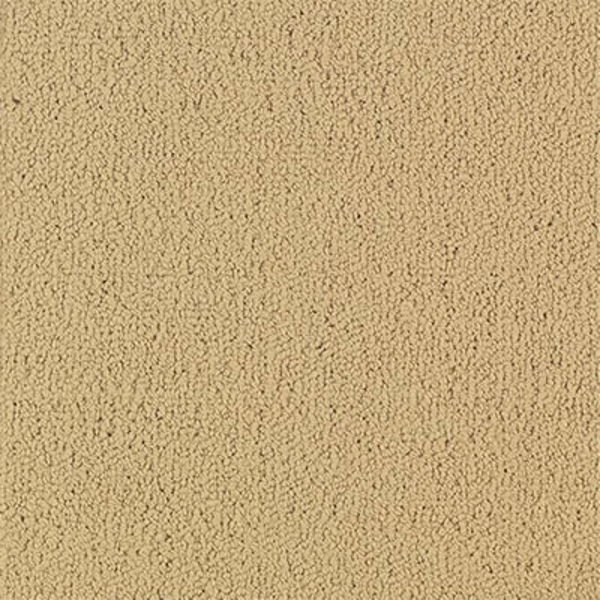 Picture of Philadelphia Commercial by Shaw - Color Accents 24 x 24 Flax