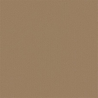 Picture of Philadelphia Commercial by Shaw - Color Accents 24 x 24 Gilded