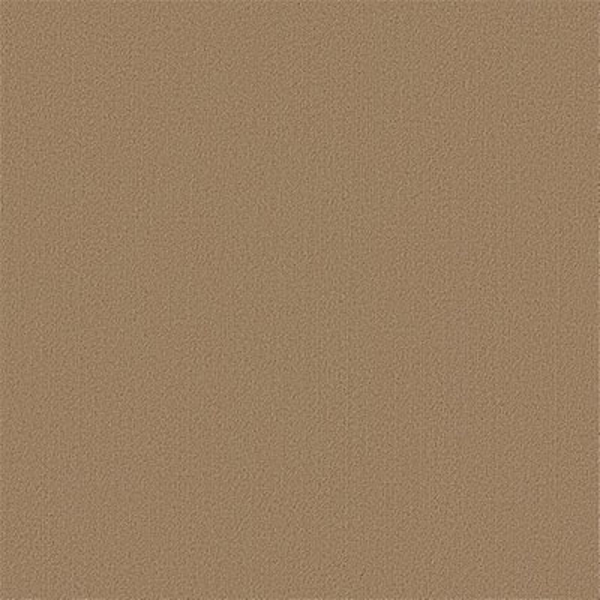Picture of Philadelphia Commercial by Shaw - Color Accents 24 x 24 Gilded