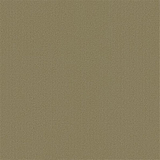 Picture of Philadelphia Commercial by Shaw - Color Accents 24 x 24 Glass