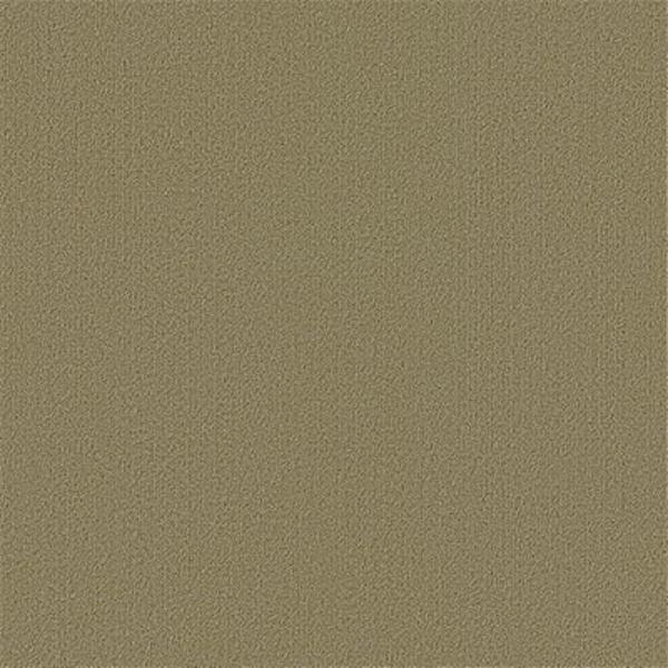 Picture of Philadelphia Commercial by Shaw - Color Accents 24 x 24 Glass