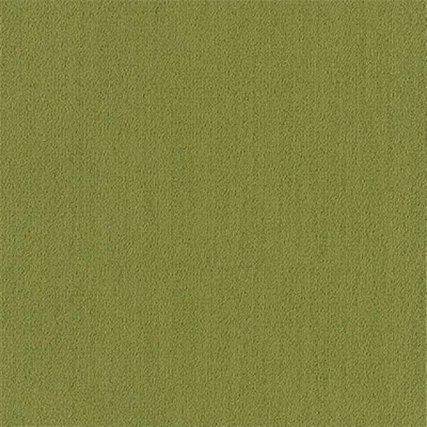 Picture of Philadelphia Commercial by Shaw - Color Accents 24 x 24 Green