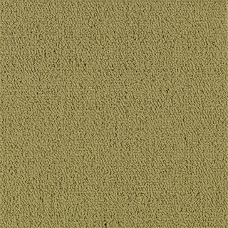 Picture of Philadelphia Commercial by Shaw - Color Accents 24 x 24 Herbal