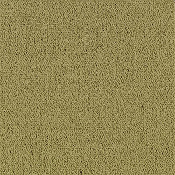 Picture of Philadelphia Commercial by Shaw - Color Accents 24 x 24 Herbal