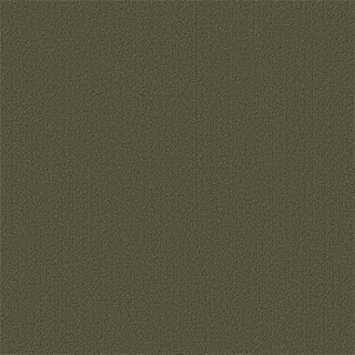 Picture of Philadelphia Commercial by Shaw - Color Accents 24 x 24 Ivy