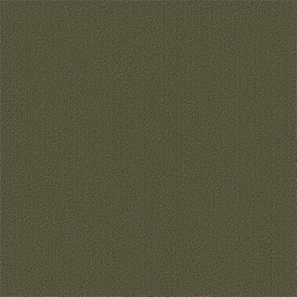 Picture of Philadelphia Commercial by Shaw - Color Accents 24 x 24 Ivy