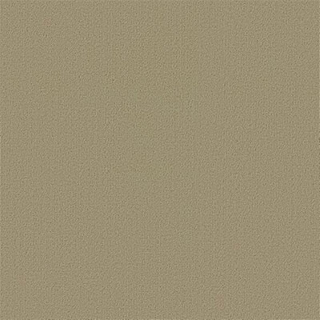 Picture of Philadelphia Commercial by Shaw - Color Accents 24 x 24 Lichen