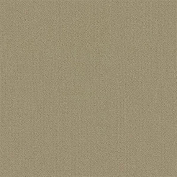 Picture of Philadelphia Commercial by Shaw - Color Accents 24 x 24 Lichen