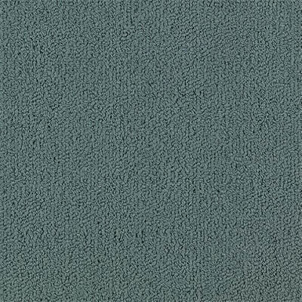 Picture of Philadelphia Commercial by Shaw - Color Accents 24 x 24 Nordic