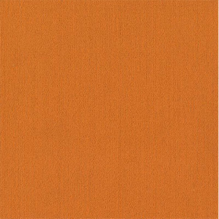 Picture of Philadelphia Commercial by Shaw - Color Accents 24 x 24 Orange