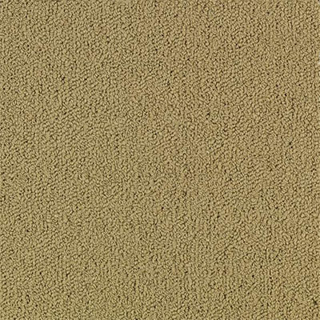 Picture of Philadelphia Commercial by Shaw - Color Accents 24 x 24 Pecan