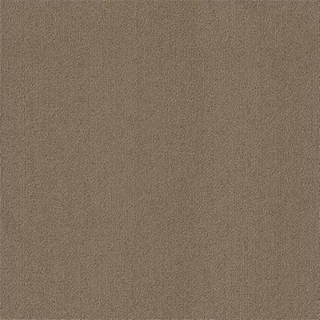 Picture of Philadelphia Commercial by Shaw - Color Accents 24 x 24 Portabella
