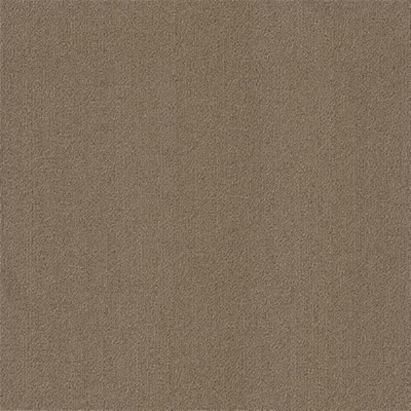 Picture of Philadelphia Commercial by Shaw - Color Accents 24 x 24 Portabella