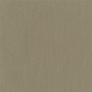 Picture of Philadelphia Commercial by Shaw - Color Accents 24 x 24 Sage