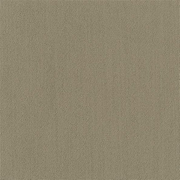 Picture of Philadelphia Commercial by Shaw - Color Accents 24 x 24 Sage