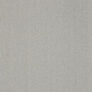 Picture of Philadelphia Commercial by Shaw - Color Accents 24 x 24 Silver