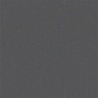 Picture of Philadelphia Commercial by Shaw - Color Accents 24 x 24 Slate