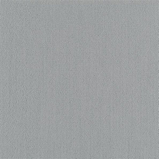 Picture of Philadelphia Commercial by Shaw - Color Accents 24 x 24 Sterling