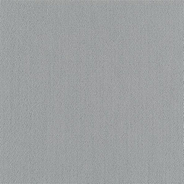 Picture of Philadelphia Commercial by Shaw - Color Accents 24 x 24 Sterling