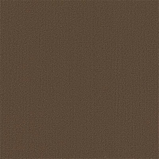 Picture of Philadelphia Commercial by Shaw - Color Accents 24 x 24 Suede