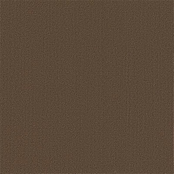 Picture of Philadelphia Commercial by Shaw - Color Accents 24 x 24 Suede