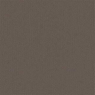 Picture of Philadelphia Commercial by Shaw - Color Accents 24 x 24 Taupe