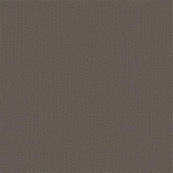 Picture of Philadelphia Commercial by Shaw - Color Accents 24 x 24 Taupe