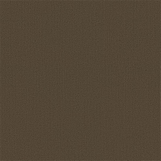 Picture of Philadelphia Commercial by Shaw - Color Accents 24 x 24 Timber