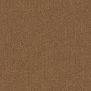 Picture of Philadelphia Commercial by Shaw - Color Accents 24 x 24 Tobacco
