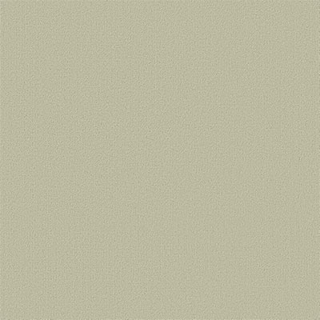 Picture of Philadelphia Commercial by Shaw - Color Accents 24 x 24 Tumbleweed