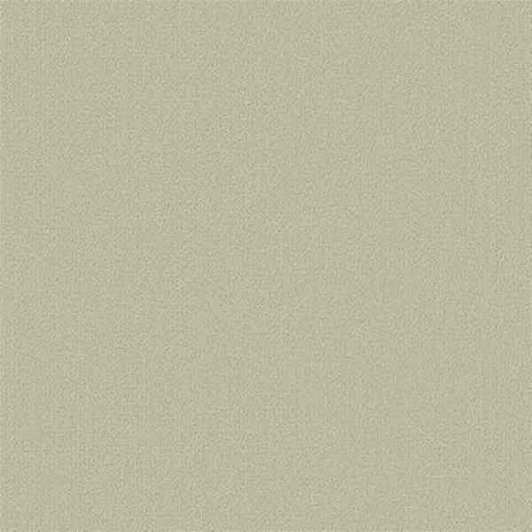 Picture of Philadelphia Commercial by Shaw - Color Accents 24 x 24 Tumbleweed