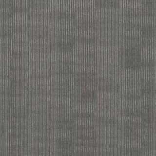 Picture of Philadelphia Commercial by Shaw - Encode 18 x 36 Code