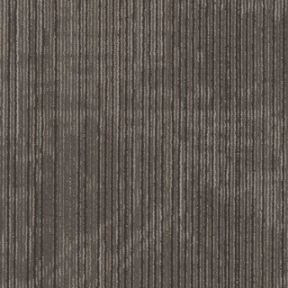 Picture of Philadelphia Commercial by Shaw - Encrypt 18 x 36 Digital