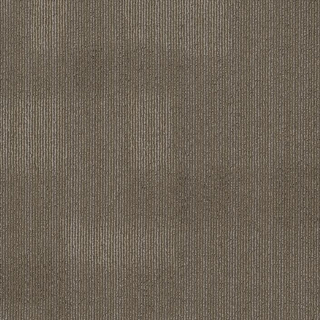 Picture of Philadelphia Commercial by Shaw - Mask Stitched